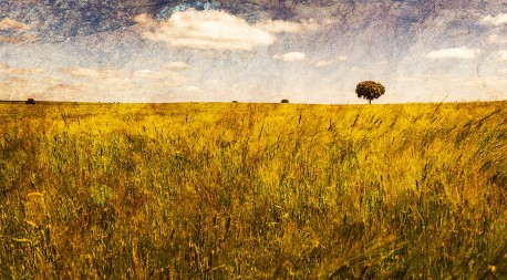 Fotografía panorámica de un campo en Valdesaz, Guadalajara nº01