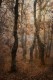 Fotografía vertical de Lagunilla, en Salamanca nº03