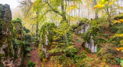 Cuadro panorámico Urbasa y Andía, Navarra nº03