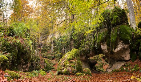 Cuadro panorámico Urbasa y Andía, Navarra nº04