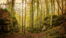 Cuadro panorámico Urbasa y Andía, Navarra nº05