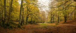 Cuadro panorámico Urbasa y Andía, Navarra nº06