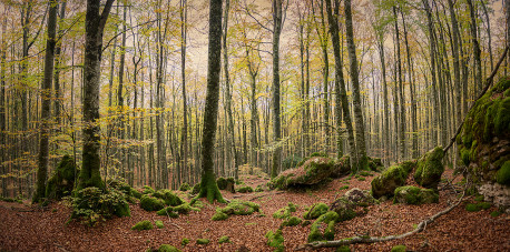 Cuadro panorámico Urbasa y Andía, Navarra nº07