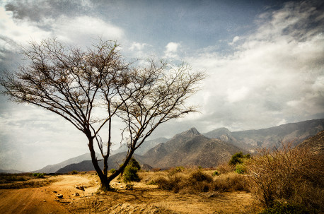 Fotografía horizontal de Kurungu, Kenia nº01