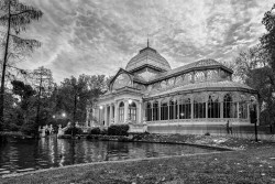 Imagen del Palacio de Cristal del Retiro de Madrid nº01 B&N