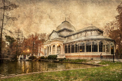 Imagen del Palacio de Cristal del Retiro de Madrid nº06