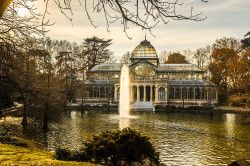 Imagen del Palacio de Cristal del Retiro de Madrid nº04