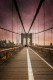 Imagen Puente de Brooklyn en Nueva York nº05