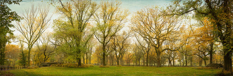 Imagen Central Park Nueva York nº01