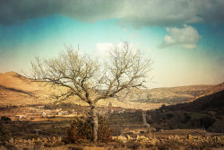 Fotografía horizontal del pueblo de Mirambel, Teruel nº01