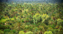 Cuadro de un Oasis, enMarruecos nº01