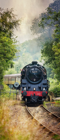 Cuadro de Tren en Whitby, Inglaterra nº01